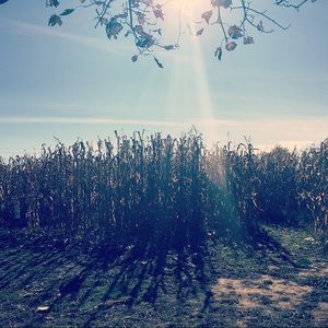 Meet your Posher, Shirley